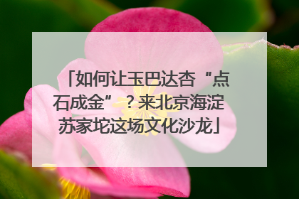 如何让玉巴达杏“点石成金”？来北京海淀苏家坨这场文化沙龙