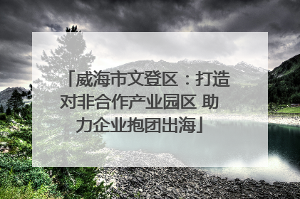 威海市文登区：打造对非合作产业园区 助力企业抱团出海