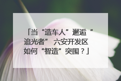当“造车人”邂逅“追光者” 六安开发区如何“智造”突围？