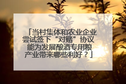 当村集体和农业企业尝试签下“对赌”协议 能为发展酿酒专用粮产业带来哪些利好？