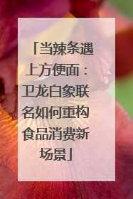 当辣条遇上方便面：卫龙白象联名如何重构食品消费新场景