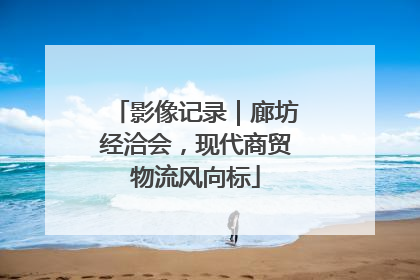 影像记录｜廊坊经洽会，现代商贸物流风向标
