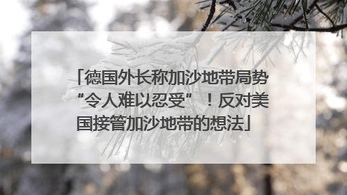 德国外长称加沙地带局势“令人难以忍受”！反对美国接管加沙地带的想法