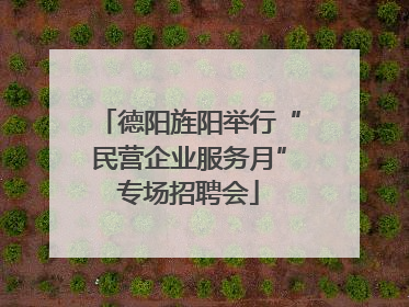 德阳旌阳举行“民营企业服务月”专场招聘会