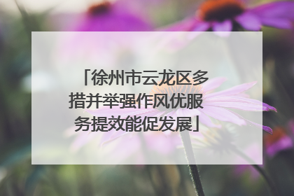 徐州市云龙区多措并举强作风优服务提效能促发展