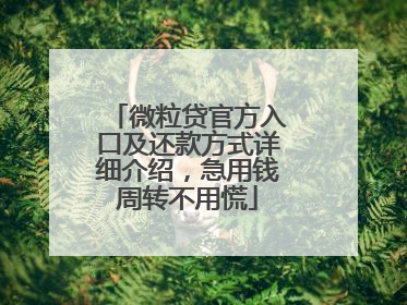 微粒贷官方入口及还款方式详细介绍，急用钱周转不用慌