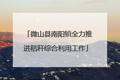 微山县南阳镇全力推进秸秆综合利用工作