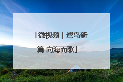 微视频｜鹭岛新篇 向海而歌