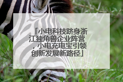 小电科技跻身浙江独角兽企业阵营，小电充电宝引领创新发展新路径