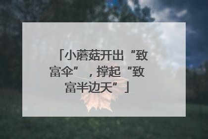 小蘑菇开出“致富伞”，撑起“致富半边天”