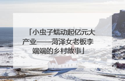 小虫子蠕动起亿元大产业——菏泽女老板李端端的乡村故事