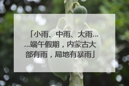 小雨、中雨、大雨……端午假期，内蒙古大部有雨，局地有暴雨