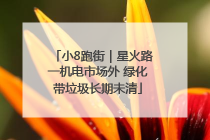小8跑街｜星火路一机电市场外 绿化带垃圾长期未清
