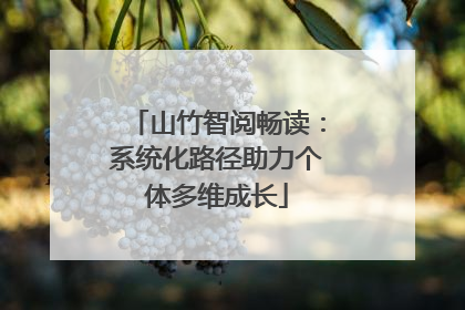 山竹智阅畅读：系统化路径助力个体多维成长