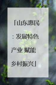 山东惠民：发展特色产业 赋能乡村振兴