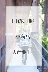 山东日照：小海马 大产业