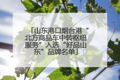 山东港口烟台港“北方商品车中转枢纽服务”入选“好品山东”品牌名单