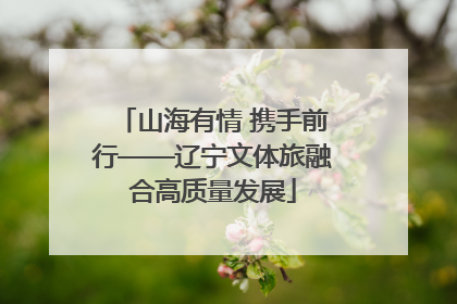 山海有情 携手前行——辽宁文体旅融合高质量发展
