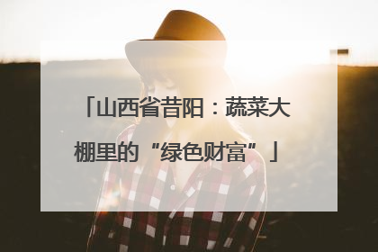 山西省昔阳：蔬菜大棚里的“绿色财富”