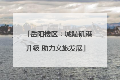 岳阳楼区：城陵矶港升级 助力文旅发展