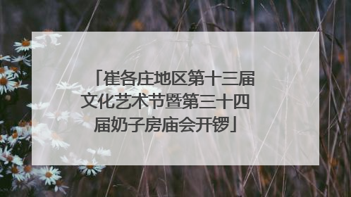 崔各庄地区第十三届文化艺术节暨第三十四届奶子房庙会开锣