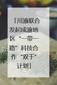川渝联合发起成渝地区“一带一路”科技合作“双千”计划