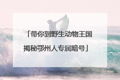 带你到野生动物王国揭秘鄂州人专属暗号