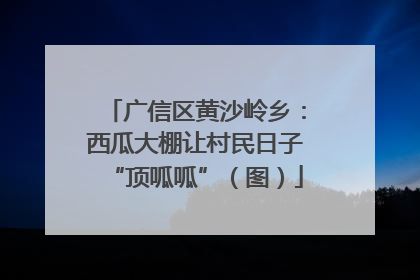 广信区黄沙岭乡：西瓜大棚让村民日子“顶呱呱”（图）