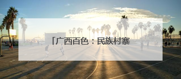 广西百色：民族村寨里的 “致富鸡”