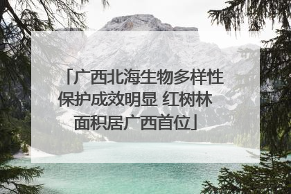 广西北海生物多样性保护成效明显 红树林面积居广西首位