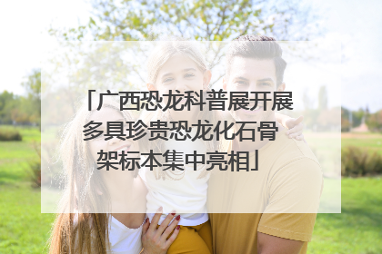 广西恐龙科普展开展 多具珍贵恐龙化石骨架标本集中亮相
