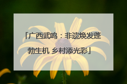 广西武鸣：非遗焕发蓬勃生机 乡村添光彩