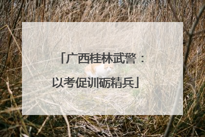 广西桂林武警：以考促训砺精兵