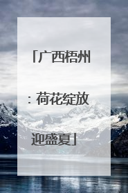 广西梧州：荷花绽放迎盛夏