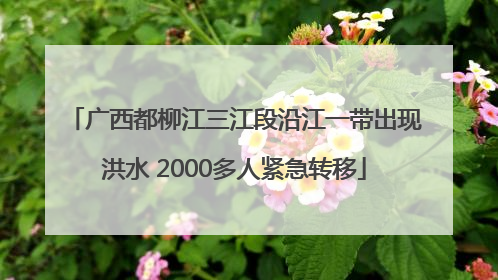 广西都柳江三江段沿江一带出现洪水 2000多人紧急转移