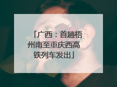 广西：首趟梧州南至重庆西高铁列车发出