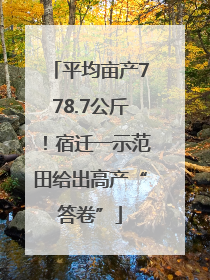 平均亩产778.7公斤！宿迁一示范田给出高产“答卷”
