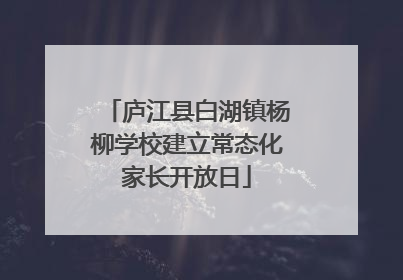 庐江县白湖镇杨柳学校建立常态化家长开放日
