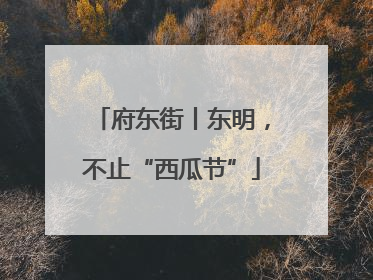 府东街丨东明，不止“西瓜节”