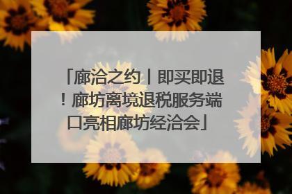 廊洽之约丨即买即退！廊坊离境退税服务端口亮相廊坊经洽会