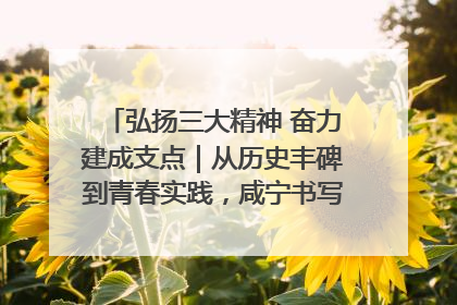 弘扬三大精神 奋力建成支点｜从历史丰碑到青春实践，咸宁书写精神传承新篇章