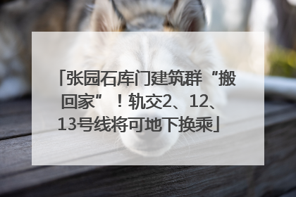 张园石库门建筑群“搬回家”！轨交2、12、13号线将可地下换乘