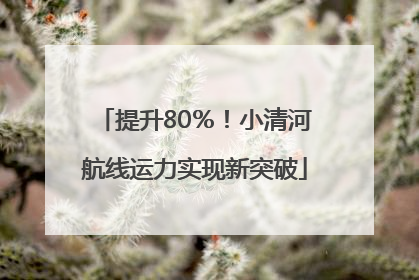 提升80％！小清河航线运力实现新突破