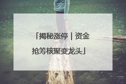 揭秘涨停|资金抢筹核聚变龙头