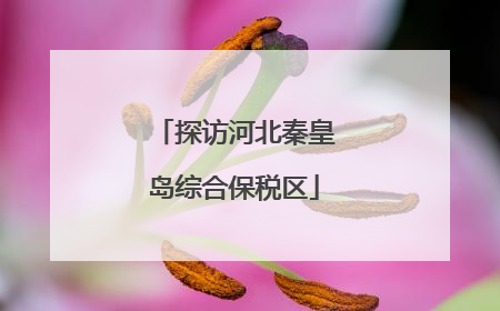 探访河北秦皇岛综合保税区