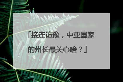 接连访豫，中亚国家的州长最关心啥？