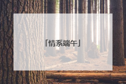 情系端午