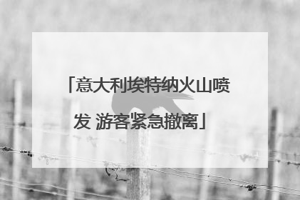 意大利埃特纳火山喷发 游客紧急撤离