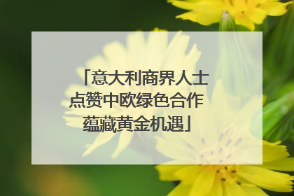 意大利商界人士点赞中欧绿色合作蕴藏黄金机遇