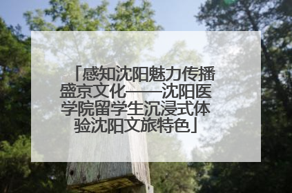 感知沈阳魅力传播盛京文化——沈阳医学院留学生沉浸式体验沈阳文旅特色